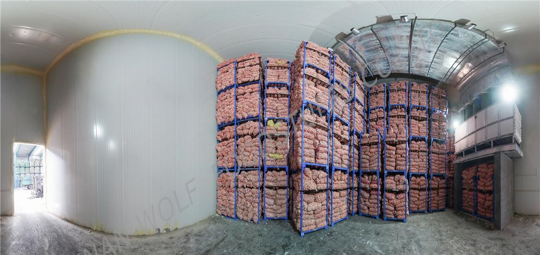 Salty Roasted Peanut in Shell