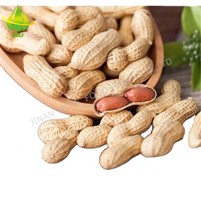 Salty Roasted Peanut in Shell