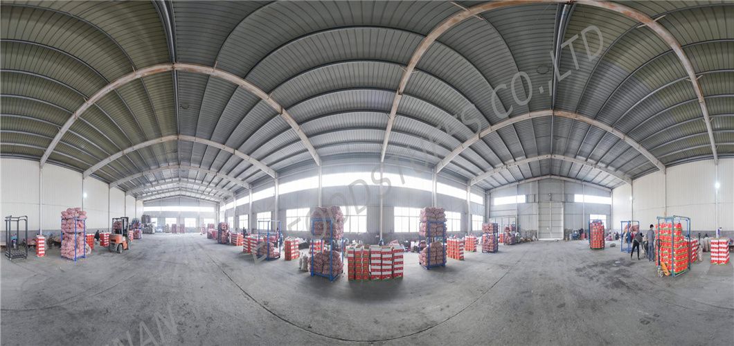 Salty Roasted Peanut in Shell