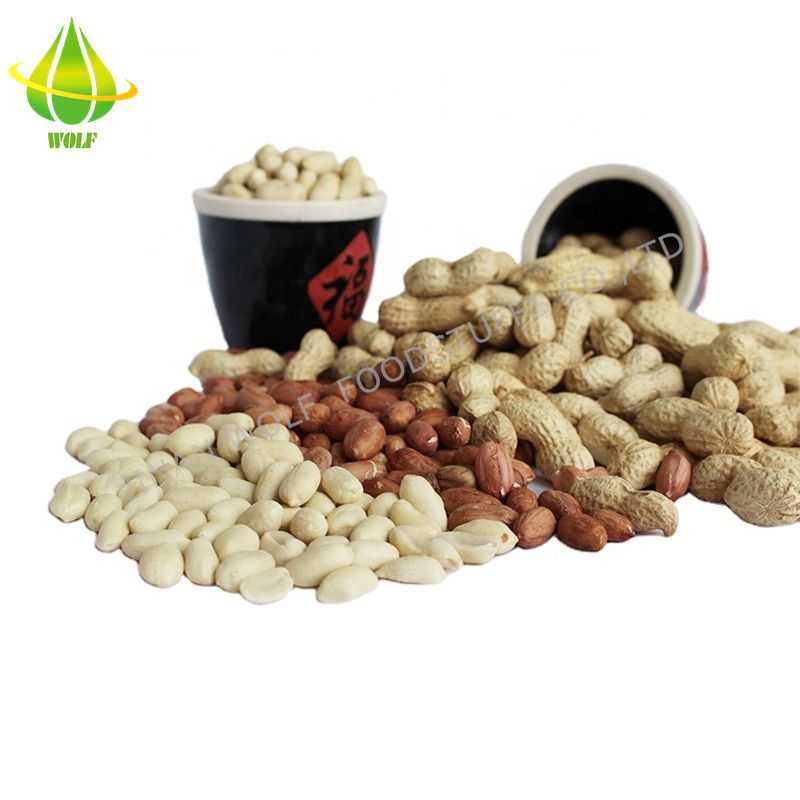 Salty Roasted Peanut in Shell