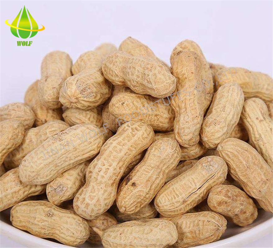 Salty Roasted Peanut in Shell