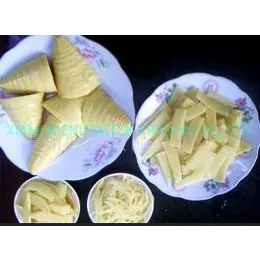 Seasoned Bamboo Shoot, Menma