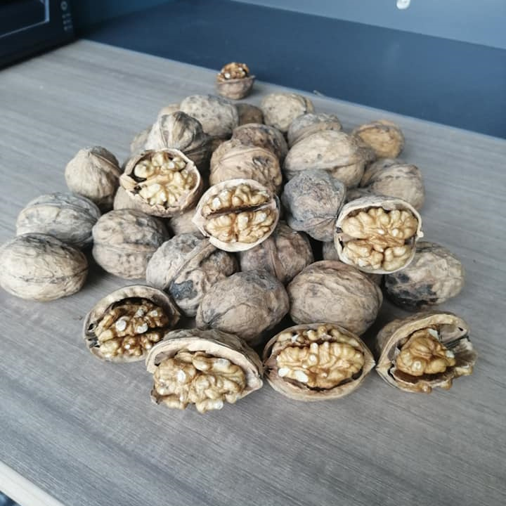 Selling 2021 New Crop of 30mm+32mm+ High-Quality, High-Protein, and Illuminating Xingfu Walnuts