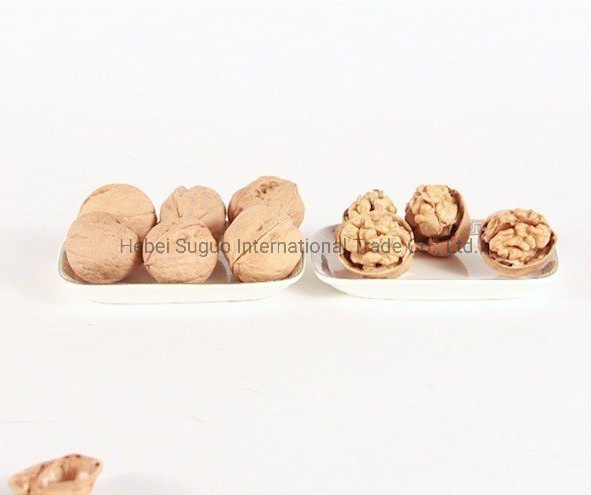Shelled Walnut Meat Export to Europe ISO HACCP Hand Cracked Walnut Food