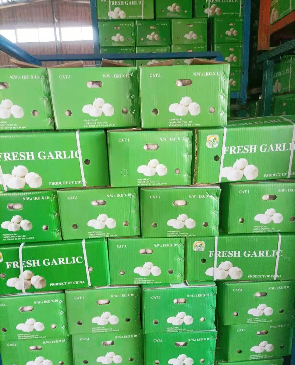 Sinocharm Brc a Approved 20g Bqf Garlic Puree Frozen Garlic