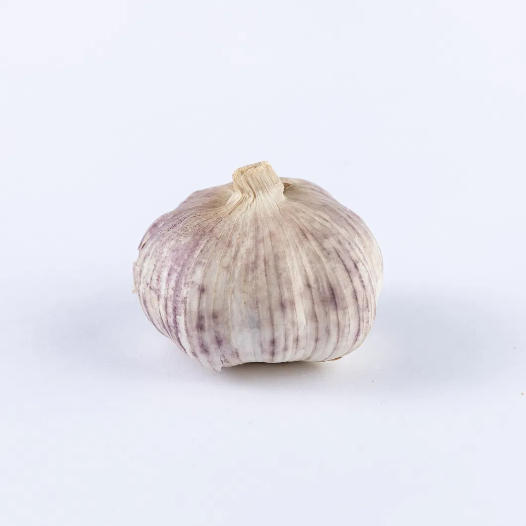 Sinocharm Brc a Approved 20g Bqf Garlic Puree Frozen Garlic