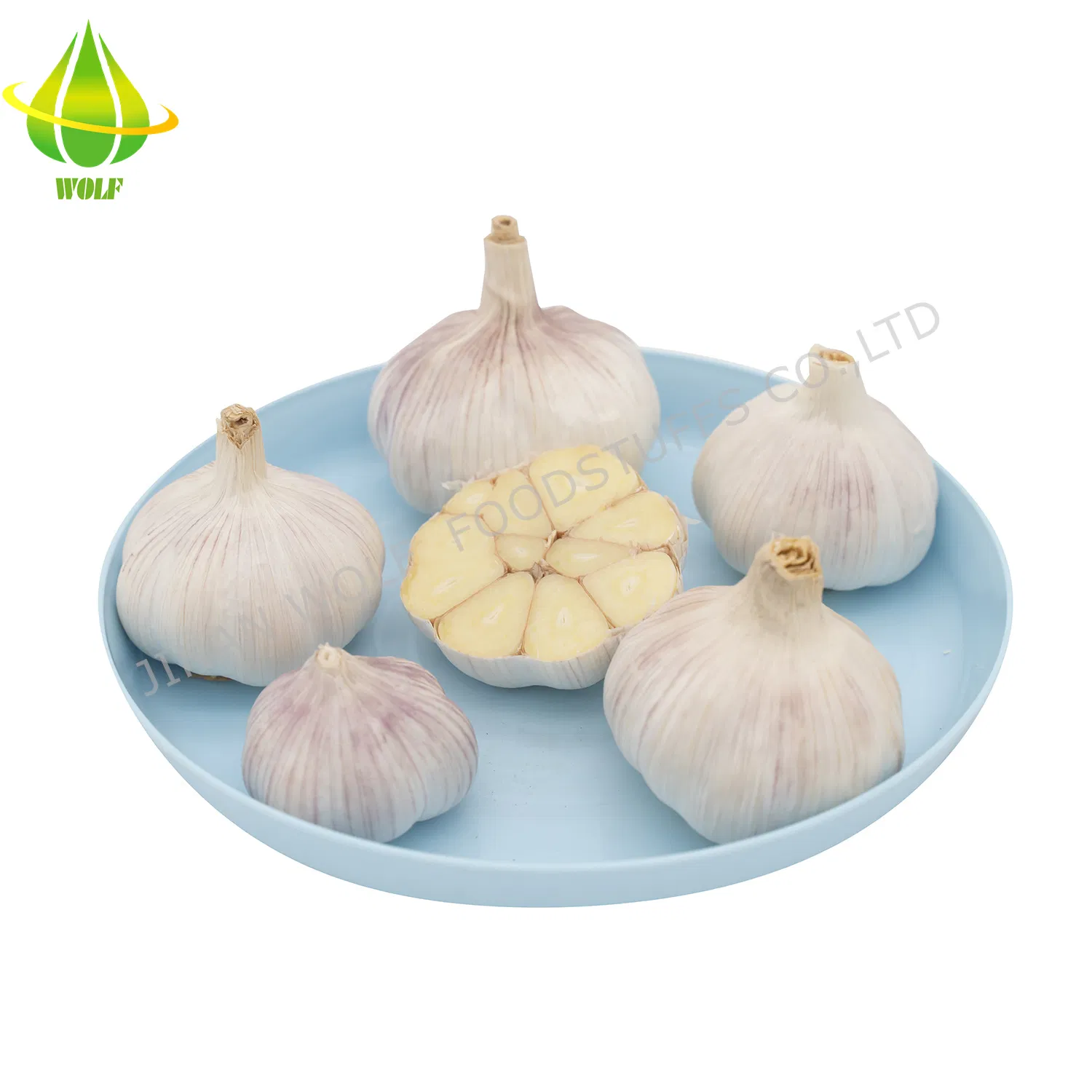 Small Packing Chinese Exporter Fresh Normal White Garlic