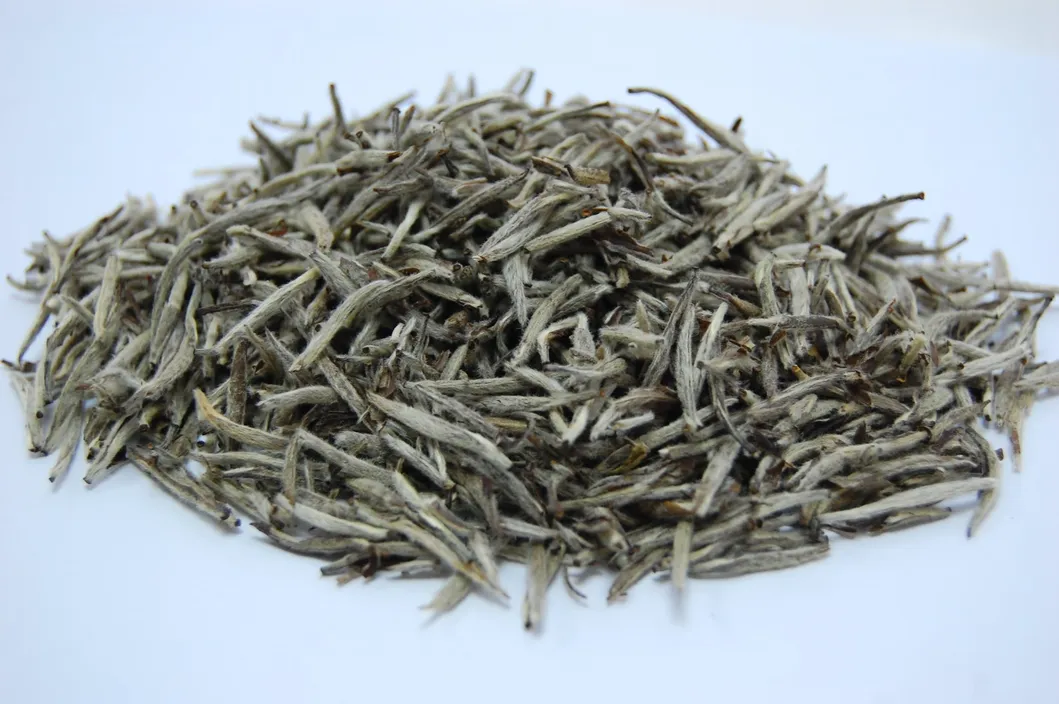 Spring Crop White Tea Bai Hao Yin Zhen