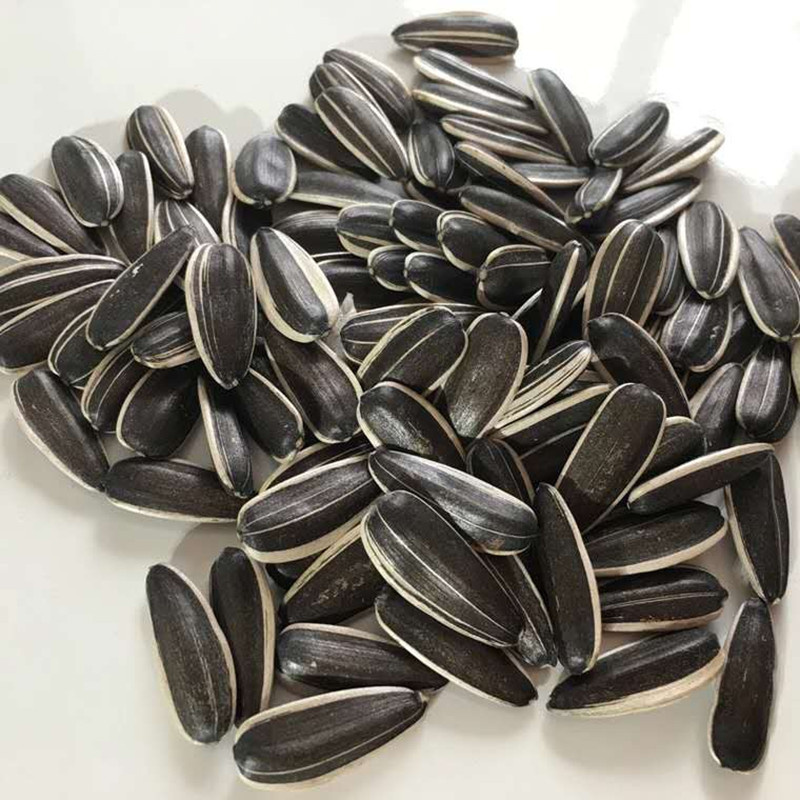 Sunflower Seed 24/68