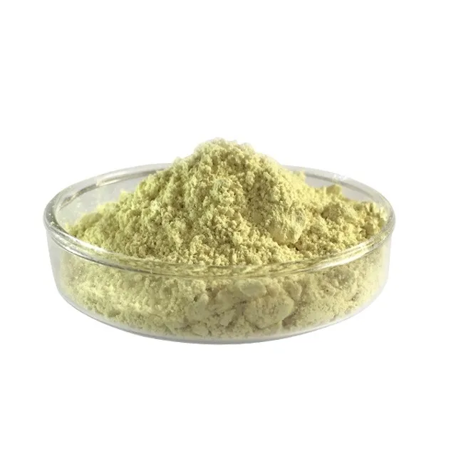 Supply Natural Broad Bean Extract Broad Bean Protein/Fava Bean Protein 60%