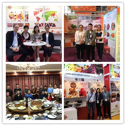 Top Level Shandong/Shanxi Delicious Fresh Gala Apple