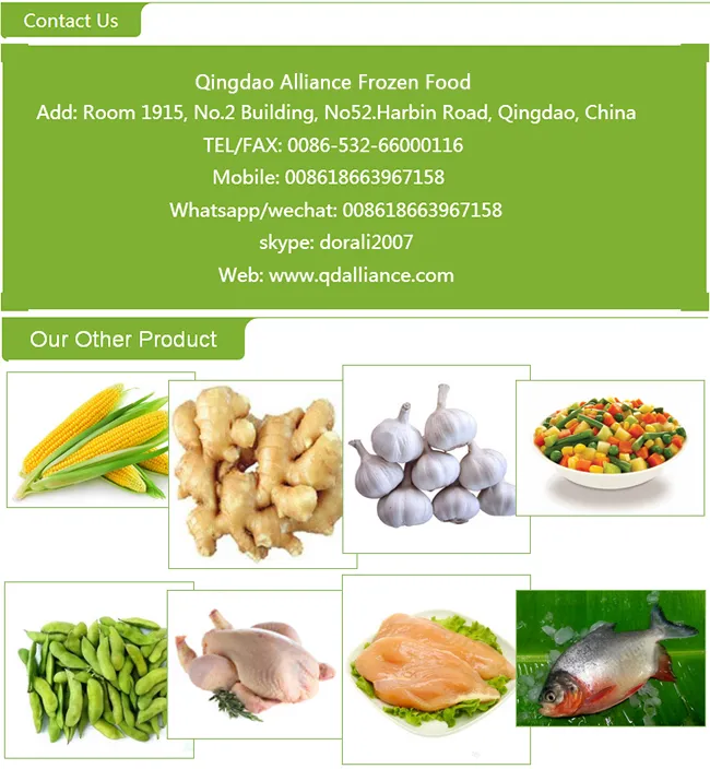 Top Quality Canned Salted Sliced Champignon
