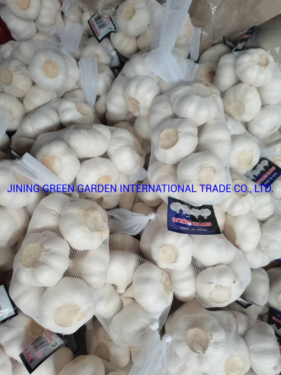 Top Quality Cheap Price China Fresh White Garlic, Normal White Garlic, Pure White Garlic, Snow White Garlic, Vary Size Garlic, Vary Packing, Pungent Garlic.