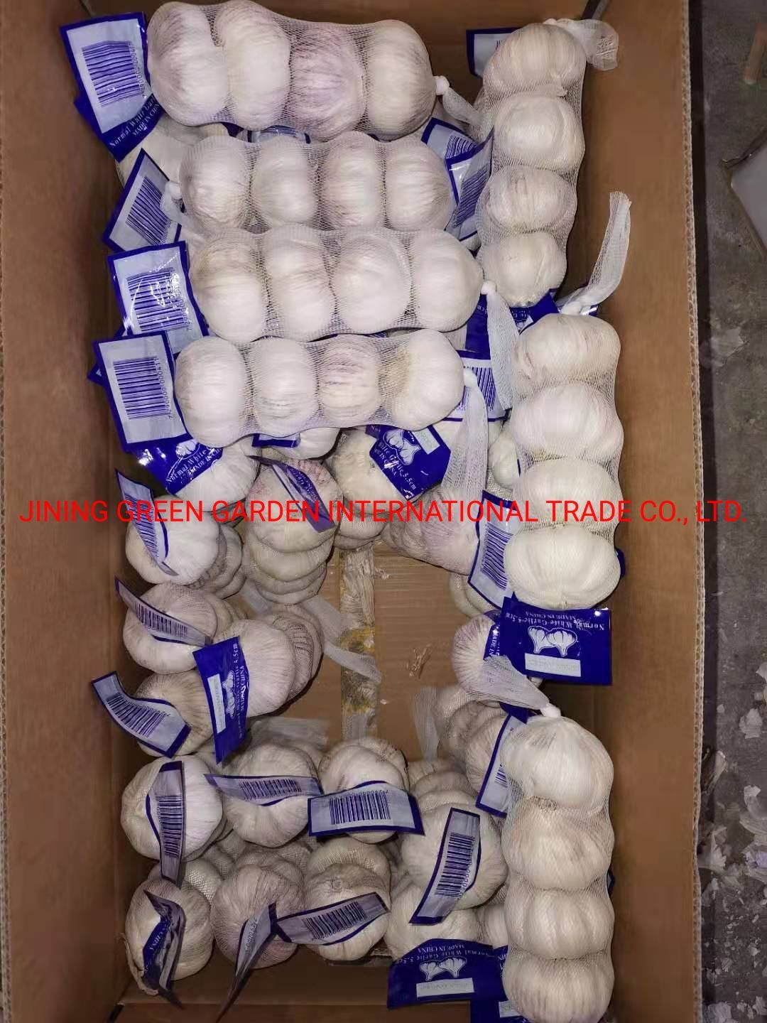 Top Quality China Fresh Garlic, Snow White Galric, Normal White Garlic, Pure White Garlic, Stronger Pungent , Health Product, Nature Farm Product, Good Spice
