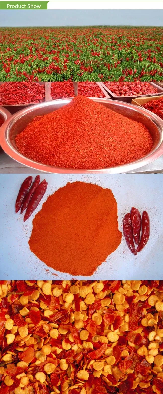 Top Quality Chinese Red Chili Powder