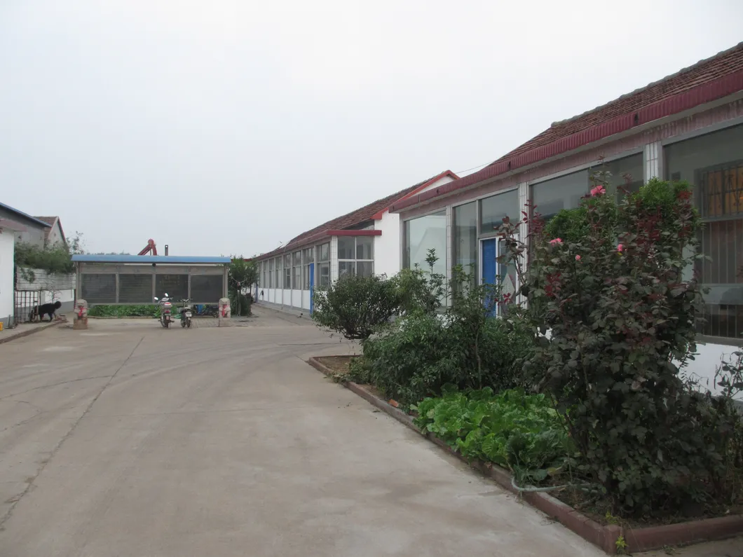 Top Quality for All Kinds of Dried Fruits From China Manufacturer Craftsmanship