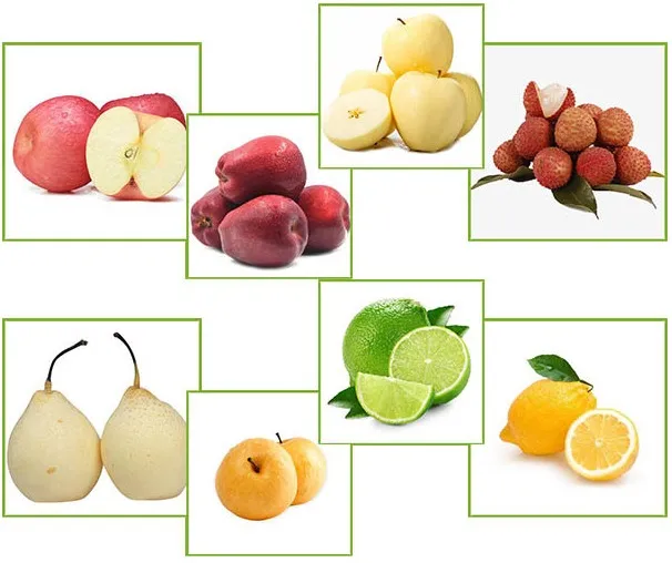 Top Quality Fresh Orange Fruit for Bulk Quantities Low Price