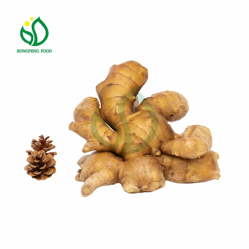 Upset Stomach Treating Shandong Young Fresh Ginger with Edible Value