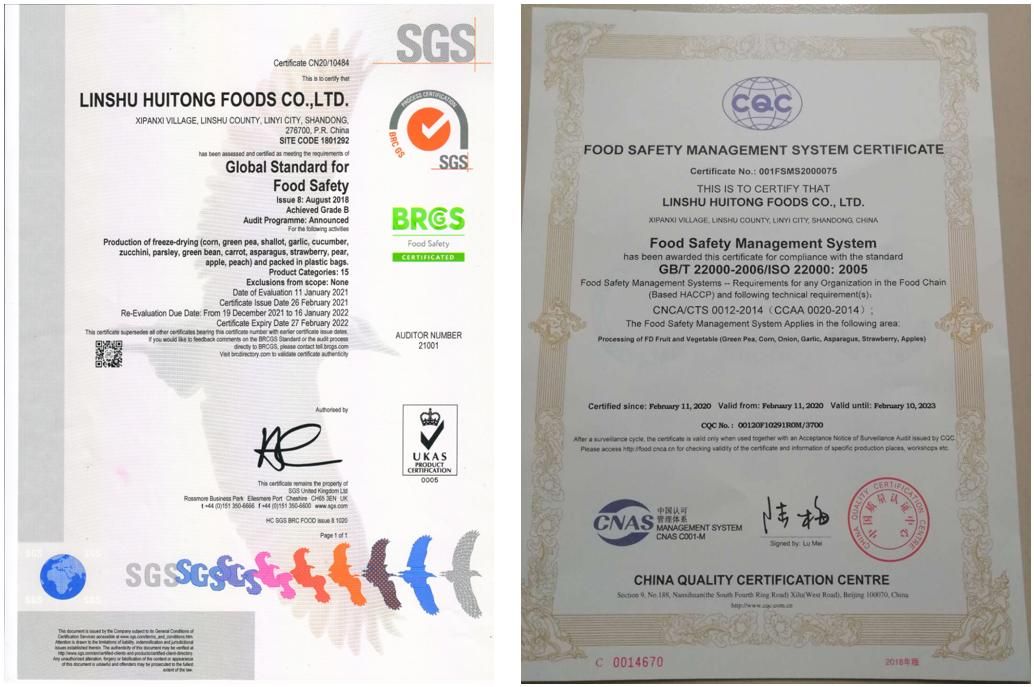 Vibrant Original Colour OEM Factory Fair Price Freeze Dried Banana Slice Snacks