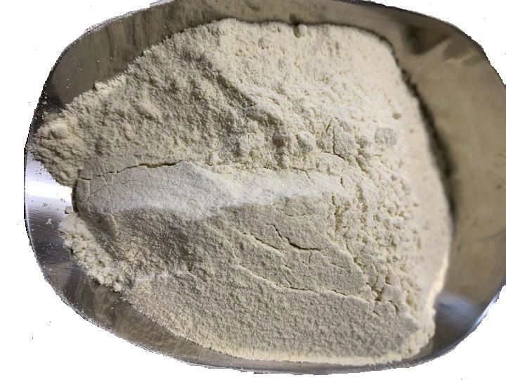 Wheat Gluten Powder and Wheat Gluten Pellets