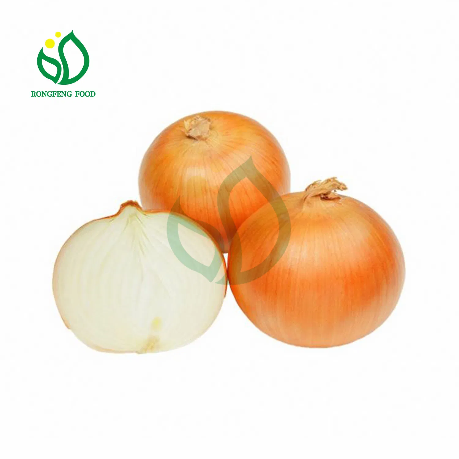 White Onion Yellow Onion with Sweet Taste for Raw Food