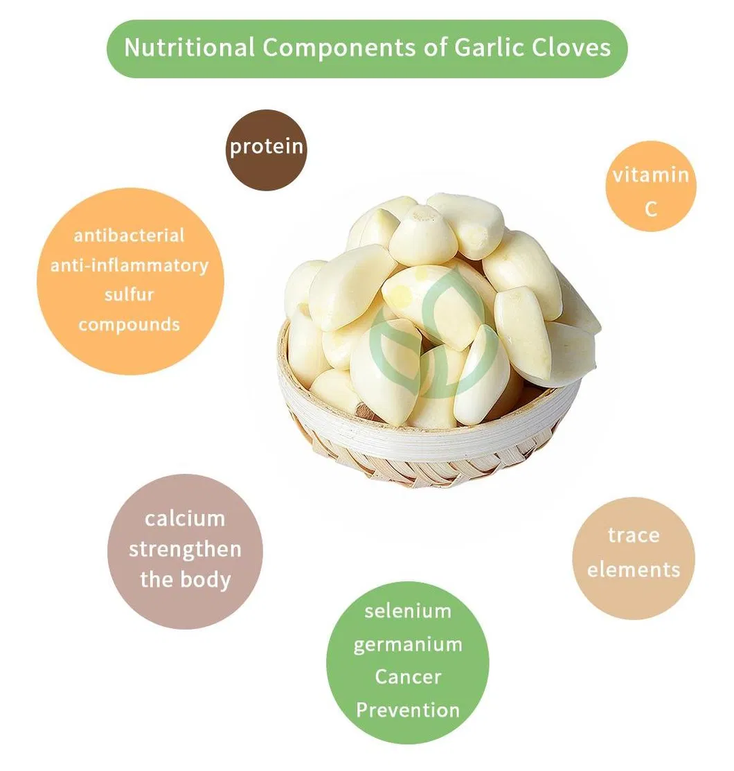 Wholesale Chinese Farm Produce Peeled Garlic Cloves for Kitchen Spices