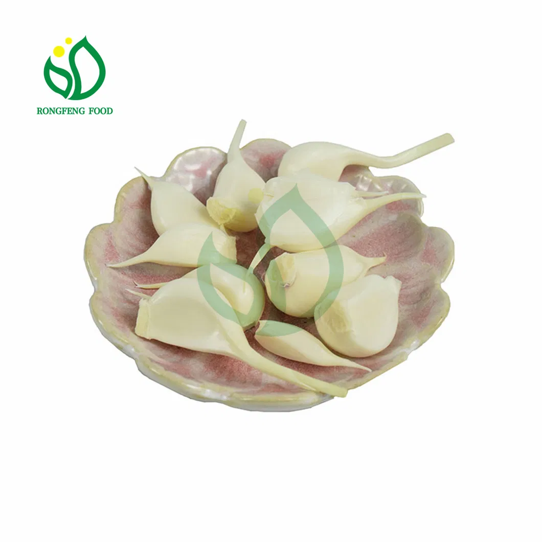 Wholesale Chinese Farm Produce Peeled Garlic Cloves for Kitchen Spices