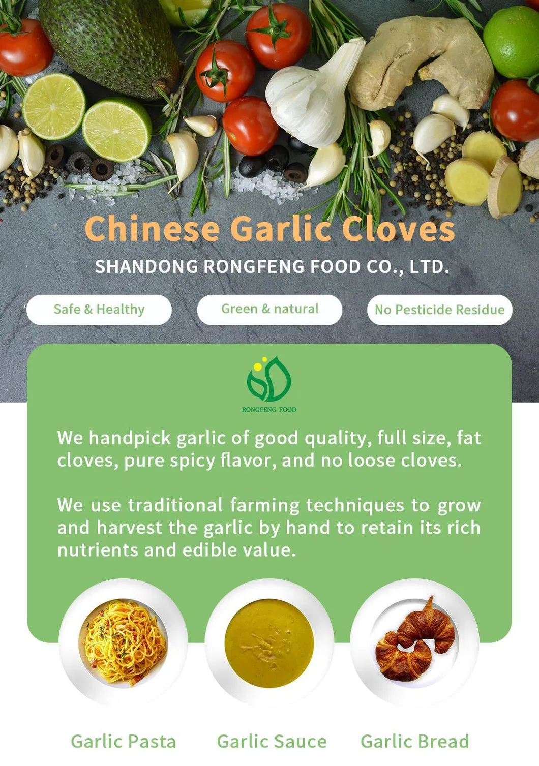 Wholesale Chinese Farm Produce Peeled Garlic Cloves for Kitchen Spices