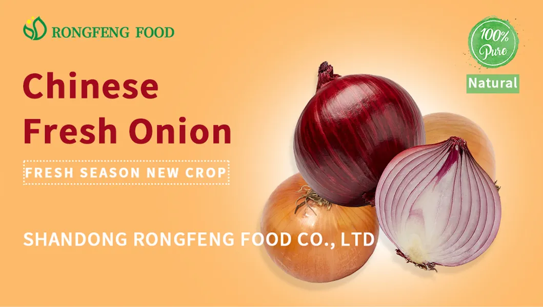 Wholesale Chinese Gap Farm New Season Onion with Various Packing