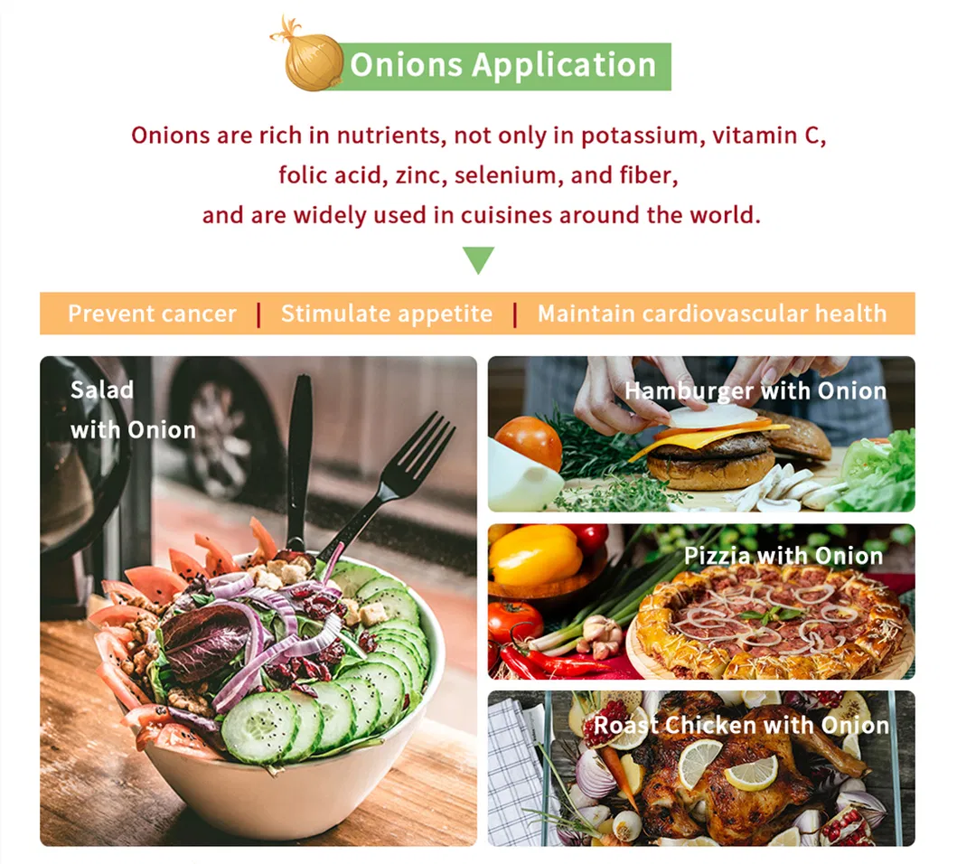 Wholesale Chinese Gap Farm New Season Onion with Various Packing