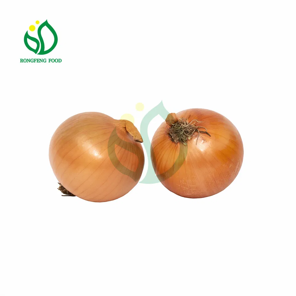 Wholesale Chinese Gap Farm New Season Onion with Various Packing