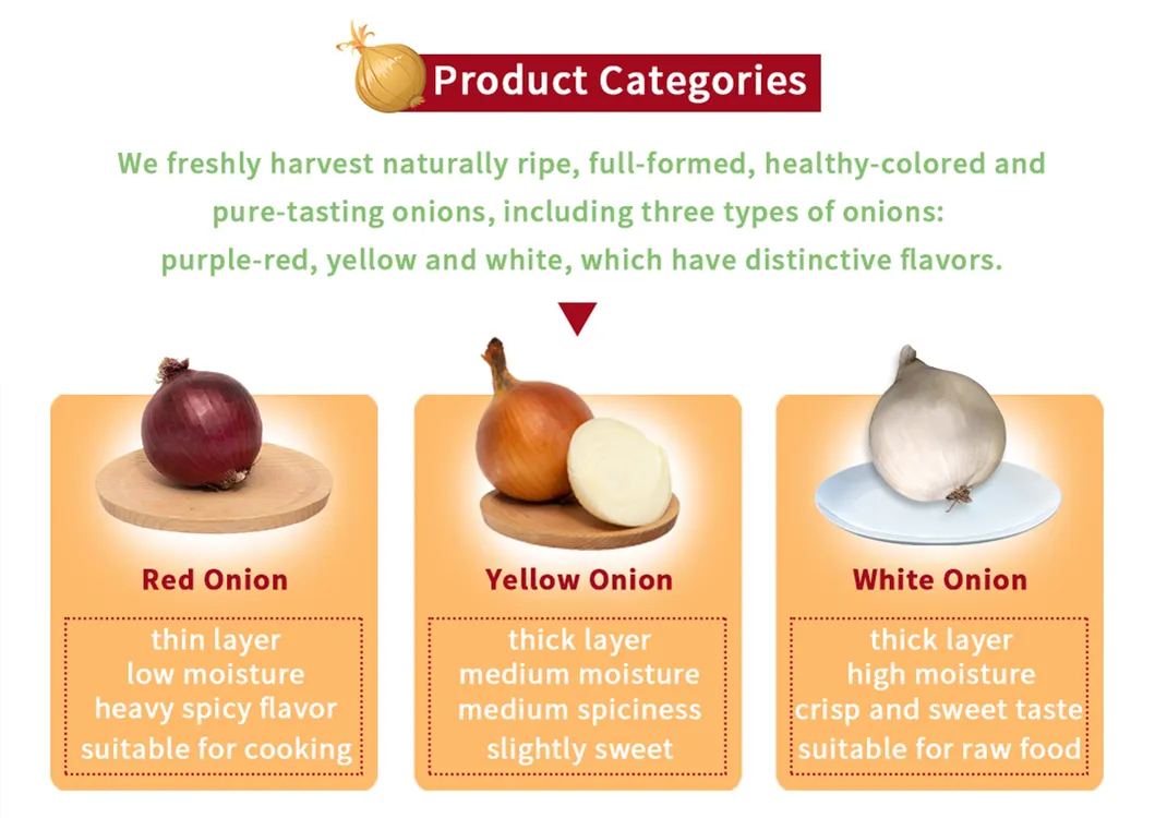 Wholesale Chinese Gap Farm New Season Onion with Various Packing