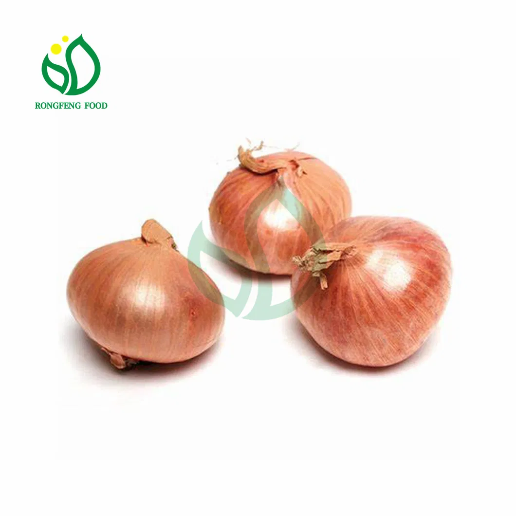 Wholesale Chinese Gap Farm New Season Onion with Various Packing