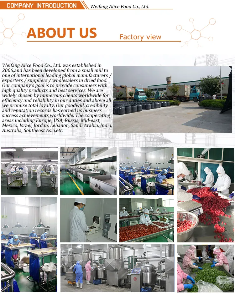 Wholesale Chinese Good Price Dried Fruits Dried Plum Dried Mango Plum Yellow Plum