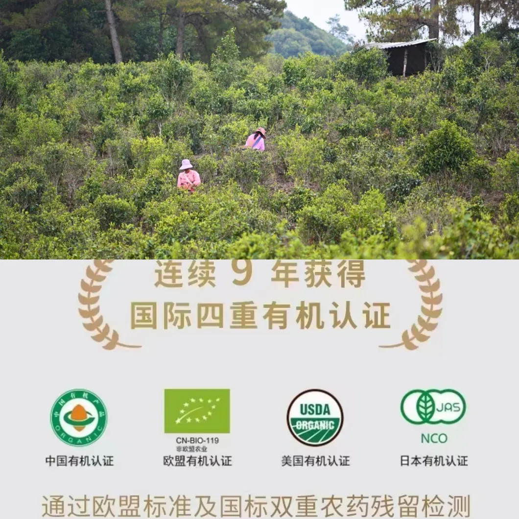 Wholesale Chinese Herbal Medcine Benefit Female Saffron Flower Tea
