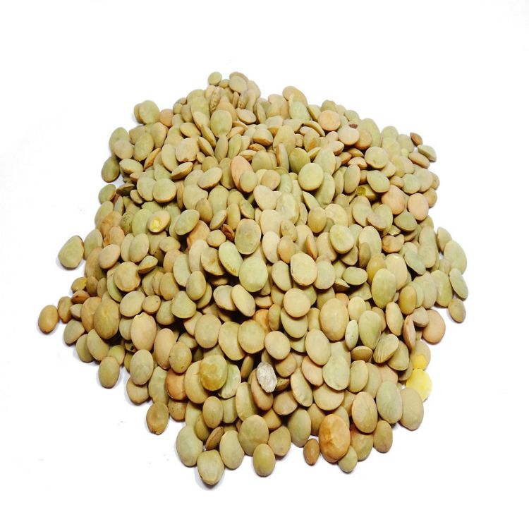 Wholesale Factory Direct Sell Green Lentils with Market Price in Bulk