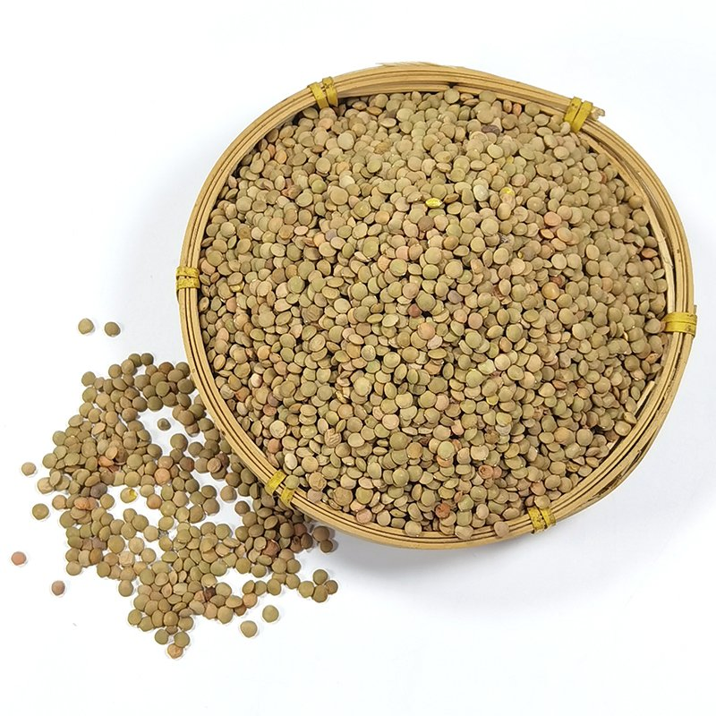 Wholesale Factory Direct Sell Green Lentils with Market Price in Bulk