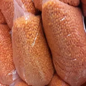 Wholesale Factory Dried Red Lentils to Export