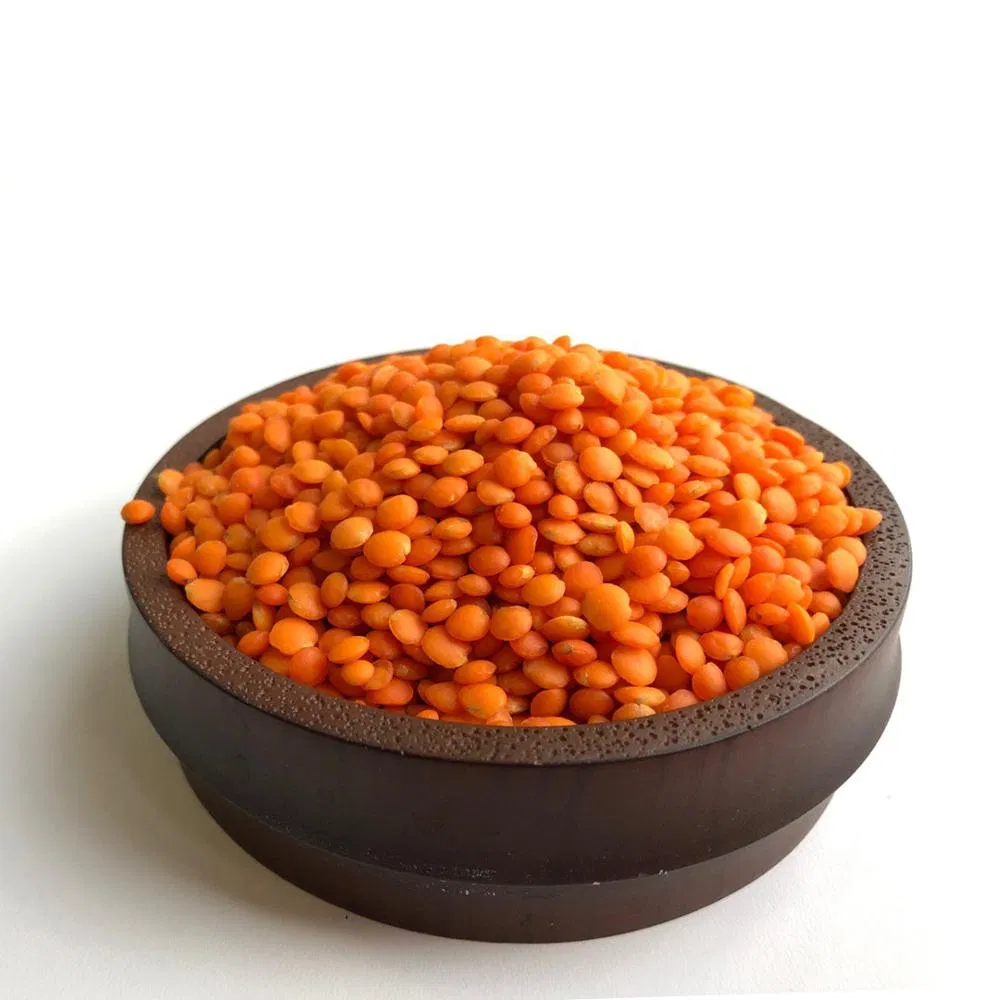 Wholesale Factory Dried Red Lentils to Export