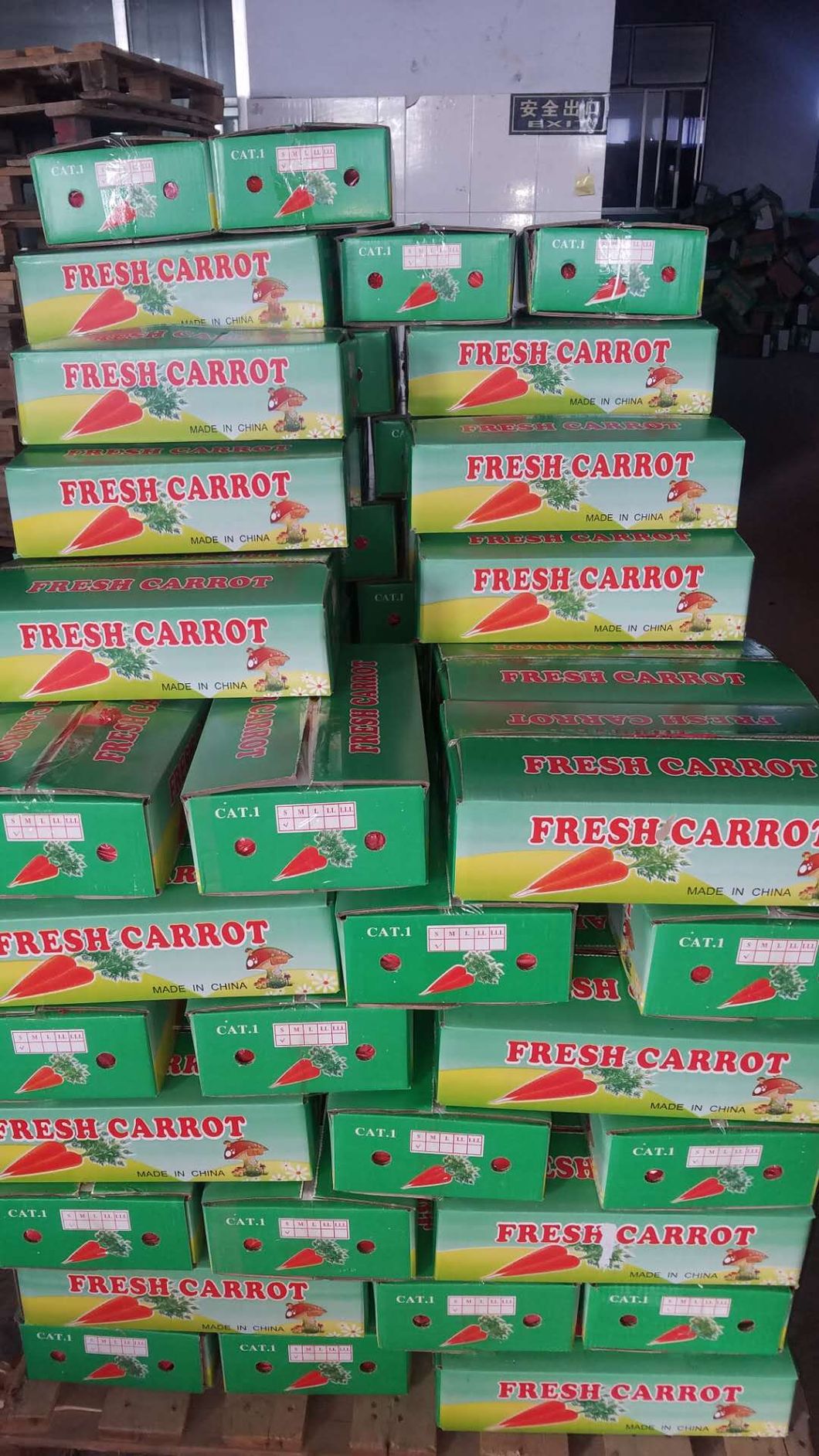 Wholesale Fresh Frozen Crop Diced Non Peeled Red Yellow Organic Orange Sweet Baby Vegetable Washed Carrot Price From Factory Supplier