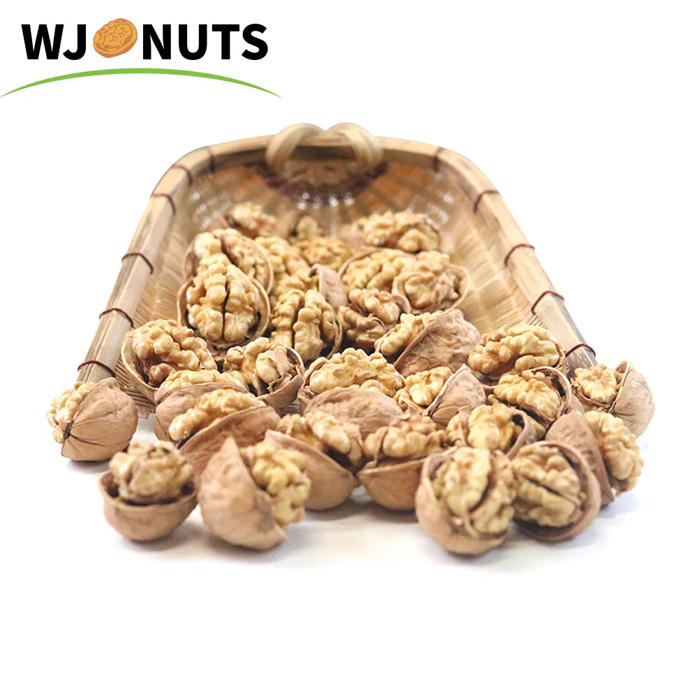 Xinjiang Dried Fruit Walnut Halves Kernel Sweet Kernel