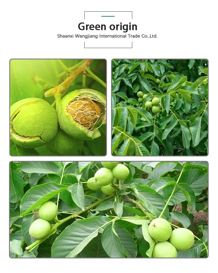 Xinjiang Dried Fruit Walnut Halves Kernel Sweet Kernel