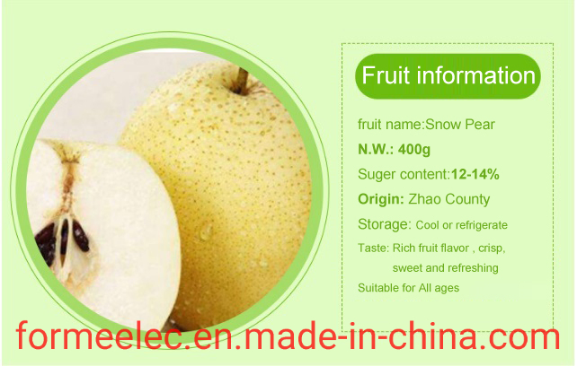 Xue Pear Chinese Pear Snowflake Pear Xuehua Pear Snow Pear