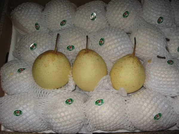 Yellow Color Fresh Ya Pear From China